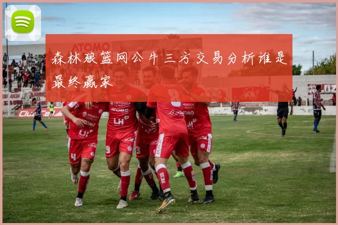 森林狼篮网公牛三方交易分析谁是最终赢家