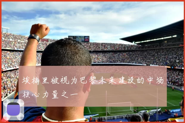 埃梅里被视为巴黎未来建设的中场核心力量之一